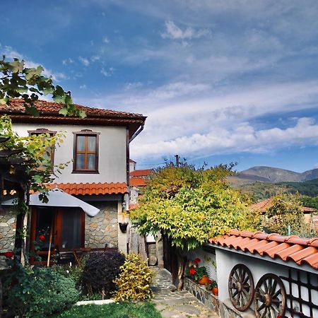Iliikova House Hotel คาโลเฟอร์ ภายนอก รูปภาพ