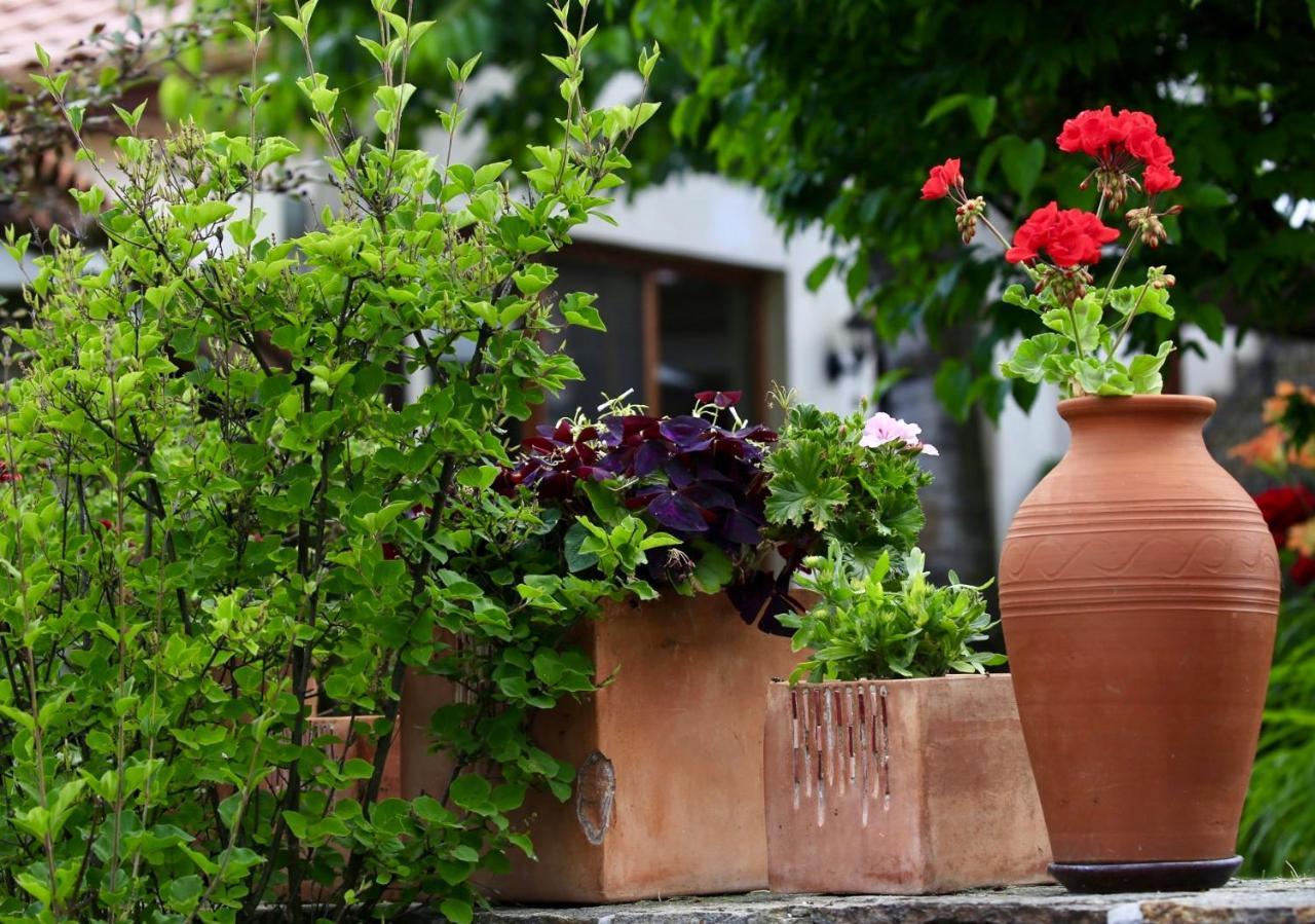 Iliikova House Hotel คาโลเฟอร์ ภายนอก รูปภาพ
