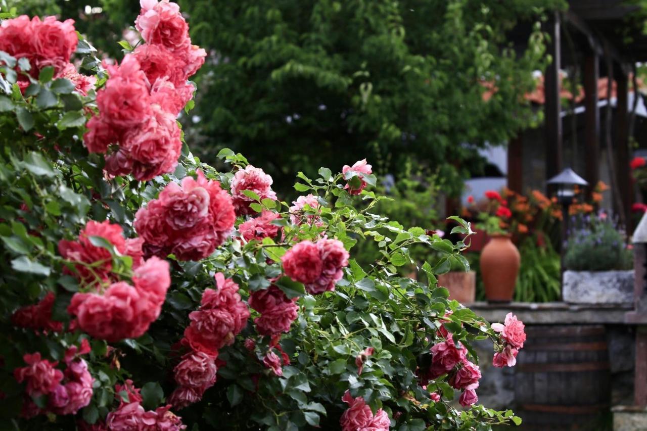 Iliikova House Hotel คาโลเฟอร์ ภายนอก รูปภาพ
