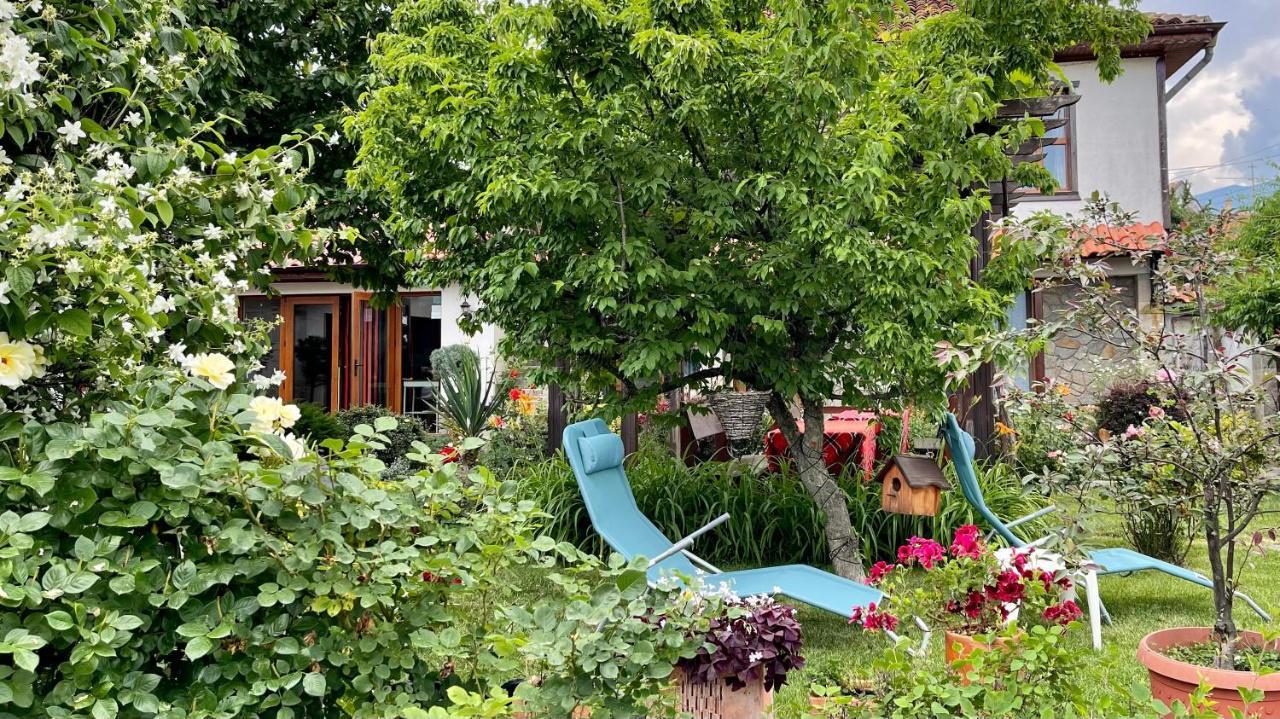 Iliikova House Hotel คาโลเฟอร์ ภายนอก รูปภาพ
