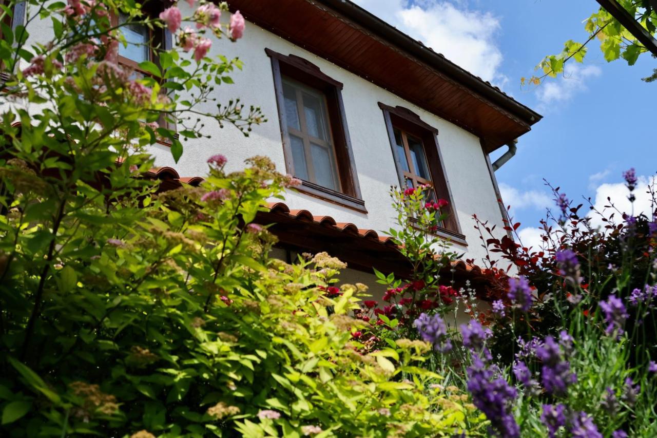 Iliikova House Hotel คาโลเฟอร์ ภายนอก รูปภาพ
