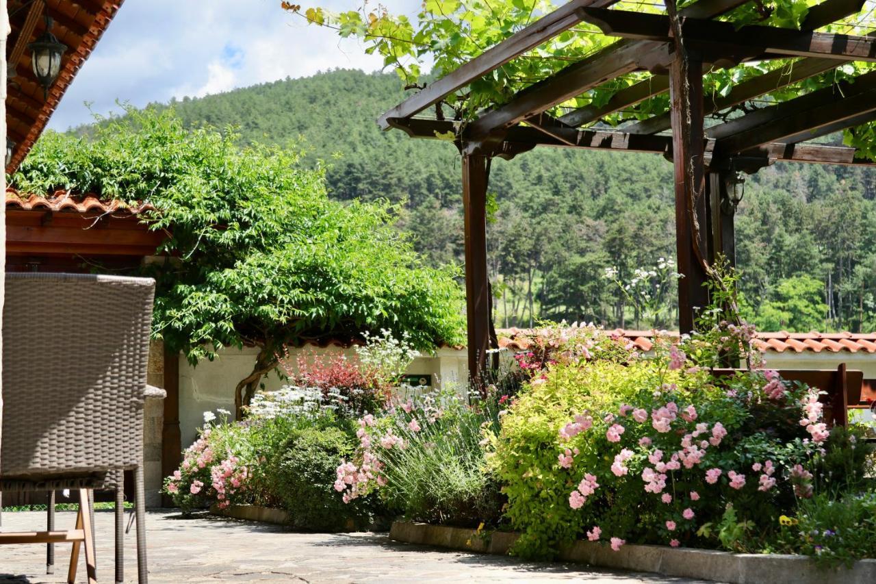 Iliikova House Hotel คาโลเฟอร์ ภายนอก รูปภาพ