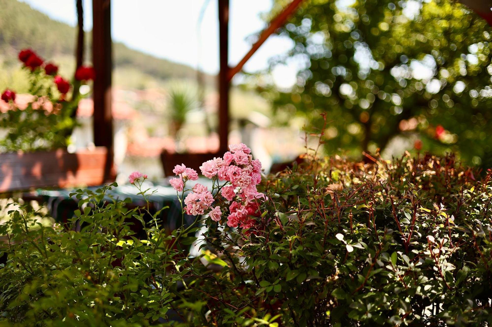 Iliikova House Hotel คาโลเฟอร์ ภายนอก รูปภาพ